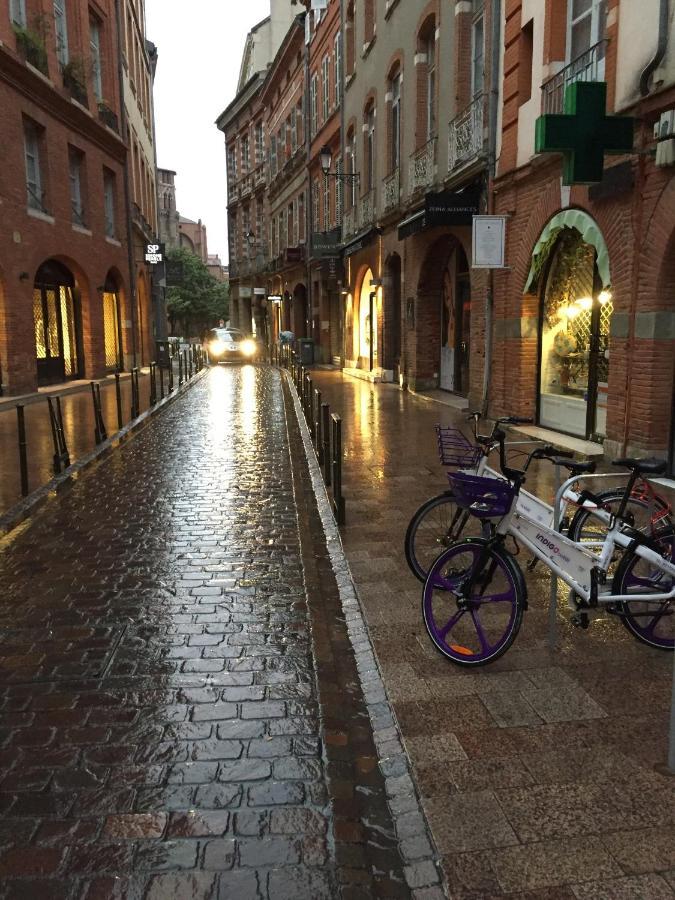 Appartement De Prestige - Rue Des Arts Toulouse Eksteriør billede